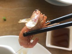 -海中洲渔社