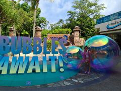 -新加坡水上探险乐园