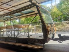 -清迈夜间动物园