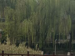 -西安市长乐公园