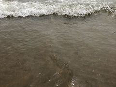 -秦皇岛阿尔卡迪亚滨海度假酒店