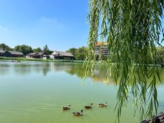 -大明幻境第一城