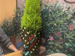 -萤火虫咖啡(后海店)