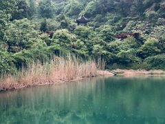 -九龙潭景区
