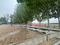 -北京群众马术培训基地