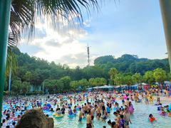 -重庆海昌加勒比海水世界