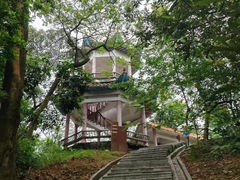 -天鹿湖森林公园
