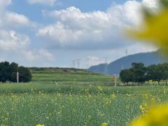 -光明小镇欢乐田园