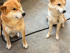 -三目仓咖啡(贤南路店)