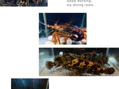 -璞御·海鲜·雪花牛肉局(宾水西道店)