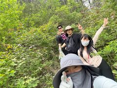 -木兰云雾山