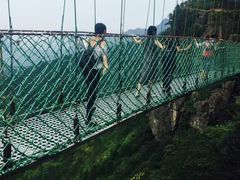 -梦幻奥陶纪景区