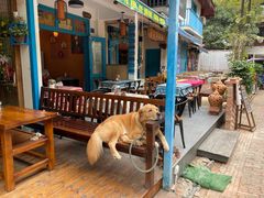 -半坡九号老挝冰咖啡