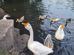 -台州府城(东湖)