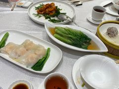-潮江春(阳光店)