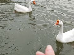 -木兰水镇旅游景区
