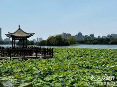 -南宁南湖公园