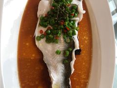 -西湖春天•老字号杭州菜(百汇店)