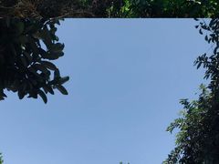 -杨梅坑