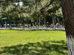 -东北大学(南湖校区)
