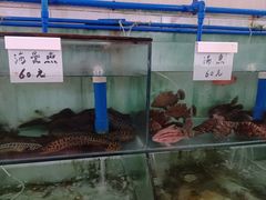 -海恋园海鲜餐馆