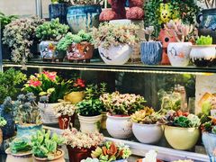 -双季花艺园艺市场(浦东店)