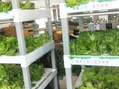 -佰园全日西餐厅-厦门佰翔软件园酒店