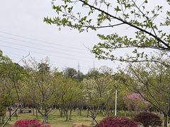-天花井景区