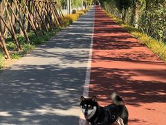 -上海长兴岛郊野公园