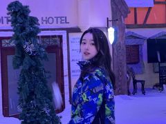 -世界之窗阿尔卑斯冰雪世界