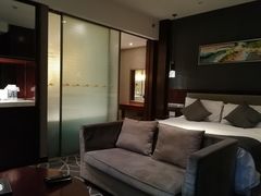 -常州环球恐龙城维景国际大酒店