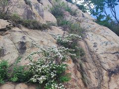 -天津盘山风景名胜区
