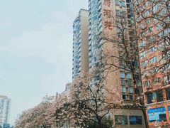 -成都市活水公园