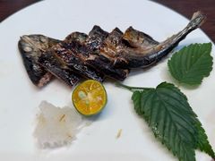 -黑松白鹿(金融街店)