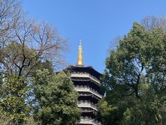 -西湖外事游船(花港观鱼码头)