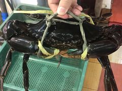 -鲤鱼门海鲜街