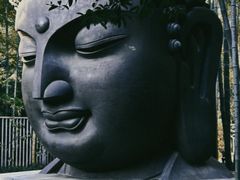 -杭州植物园