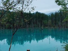 -青池