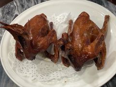 -鸽鸟轩(石岐店)