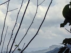 -娄山关景区