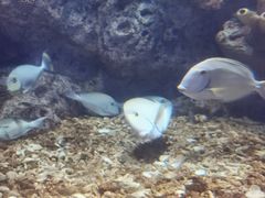 -福州罗源湾海洋世界旅游区