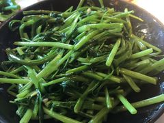 黄豆酱炒通菜-陶陶居酒家(海岸城店)