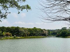 -东莞植物园
