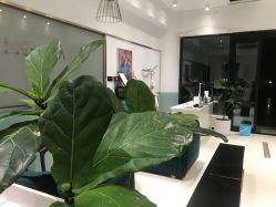 -无界瑜伽普拉提