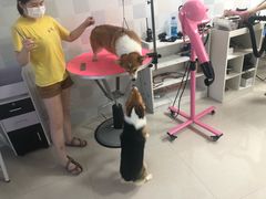 -沈阳和平艾美酒店新食谱西餐厅