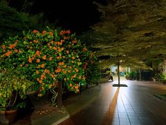 -马六甲鸡场街