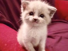 -秦韬盲人按摩院(惠新西街店)