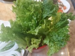 -清真军邺·金富苑肥牛(石坡街旗舰店)