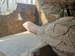 -上海佘山国家森林公园天马山园