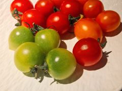 -芸山季·云南山珍菌火锅(万象前海店)